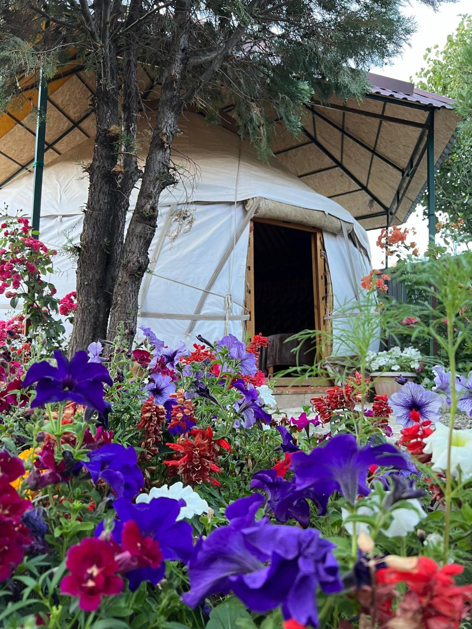 Кемпинг Happy Nomads Yurt Каракол Экстерьер фото